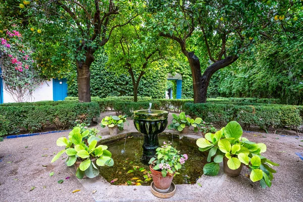 Nádvoří zahrady Viana Palace v Cordoba, Andalusie, Španělsko. — Stock fotografie