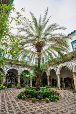 İspanya, Endülüs, Cordoba 'daki Viana Sarayı' nın avlusu. XV yüzyılda yapılmış. Viana Sarayı 12 muhteşem avlusu ve bahçesiyle bilinen bir turistik merkezdir..