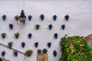 Cordoba, Endülüs, İspanya 'daki antik Arap pazarı, geleneksel zanaatların tanıtımı için dönüştürüldü, Zoco Belediyesi de la Artesania. Bu, Cordoba 'nın tarihi merkezinin cazibelerinden biridir..