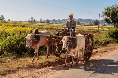 Pindaya, Myanmar - 08 Kasım 2019: Heho 'dan Pindaya, Asya' ya giden yolda çalışan Myanmar çalışanları