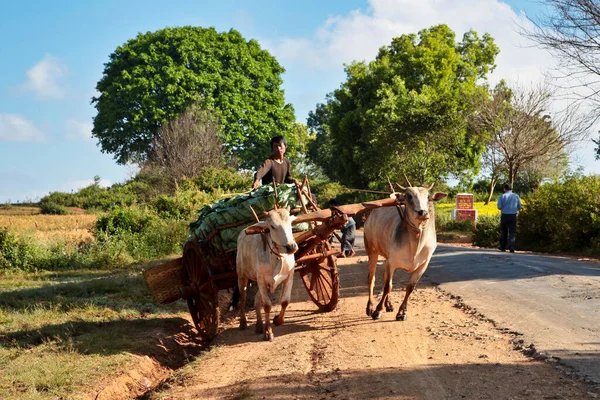 Pindaya Myanmar Nov 2019 Pueblo Trabajador Myanmar Birmania Camino Heho — Foto de Stock