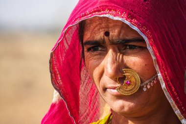 Jaisalmer, Hindistan - 30 Aralık 2019: Jaisalmer, Rajasthan pamuk tarlalarında çalışan güzel giyimli kadınlar