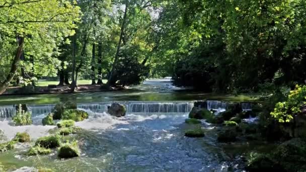 Almanya Nın Münih Kentindeki Ngiliz Bahçesi Ndeki Eisbach Nehrinde Küçük — Stok video