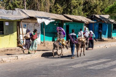 Gondar, Etiyopya - 07 Şubat 2020: Gondar 'dan Simien dağlarına, Noth Etiyopya, Afrika yolundaki Etiyopya halkı.