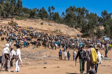 Gondar, Etiyopya - 07 Şubat 2020: Gondar 'dan Simien dağlarına, Noth Etiyopya, Afrika yolundaki Etiyopya halkı.