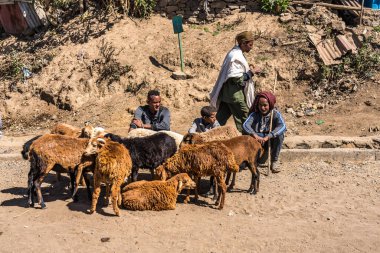 Gondar, Etiyopya - 07 Şubat 2020: Gondar 'dan Simien dağlarına, Noth Etiyopya, Afrika yolundaki Etiyopya halkı.
