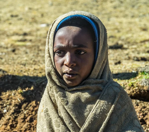 Gondar Ethiopie Février 2020 Population Agricole Travaillant Dans Les Fermes — Photo