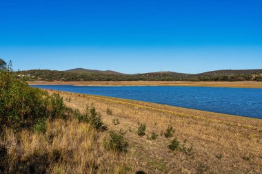 Extremadura 'daki Cornalvo doğal parkının meşe ve mantar meşeleriyle manzarası, Merida. İspanya