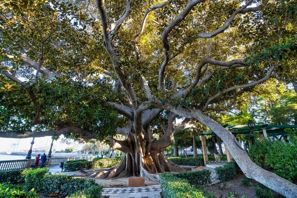 Alameda Apodaca Ein Öffentlicher Park Und Ein Beispiel Für Den — Stockfoto