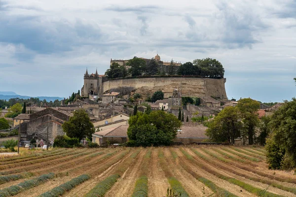 フランスのローヌ アルプ県 グリニャン城は12世紀に建てられた要塞化された城で ルネサンス期には壮大な邸宅に変身しました — ストック写真