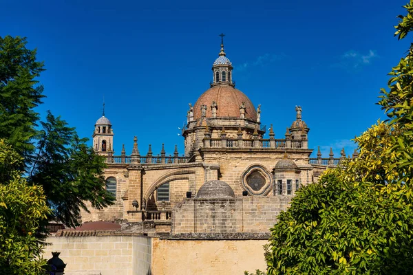 Kopuła Katedry Jerez Frontera Catedral San Salvador Kadyks Andaluzja Hiszpania — Zdjęcie stockowe