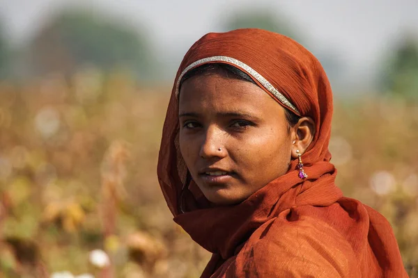2019年12月30日 印度斋萨尔默 在拉贾斯坦邦斋萨尔默 Jaisalmer 的棉花地里干活的漂亮女人 — 图库照片
