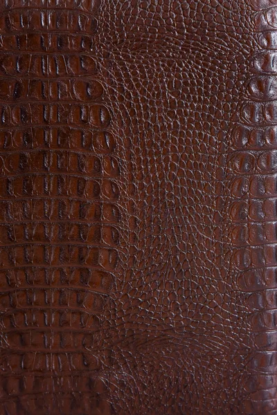 Texture Cuir Crocodile Cuir — Photo