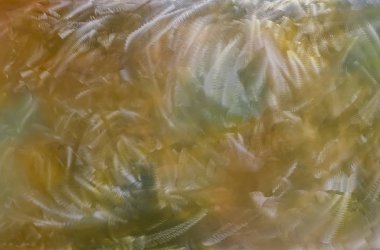 arkaplan, doku arkaplan, duvarın dokusu, grunge arkaplan