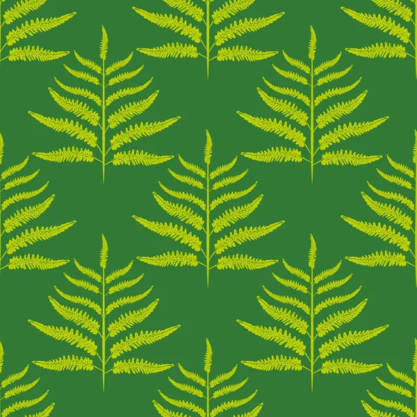 Fern vector seamless 패턴 배경. 숲 속 의식물은 단색을 띤 녹색 배경으로 뒤덮여 있다. 자연 보건 컨셉 패 키 징을 위해 모든 인쇄 위에 스타일화 된 기하학적 식물학적 잎 삽화 — 스톡 벡터