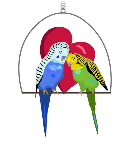 Dois Pássaros Bugie Estão Apaixonados Casal Bonito Pássaros — Vetor de Stock