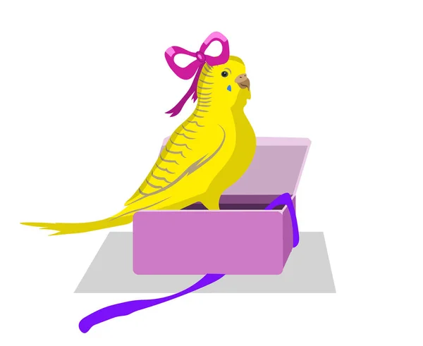 Yellow budgie bird jumps out of the present box, gift for a holiday — Stock Illustration Yellow Budgie Bird Jumps Out Present Box Gift Holiday Vector Graphics
