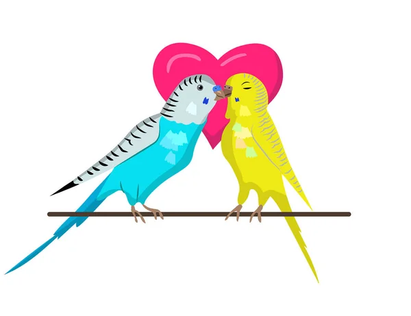 Dwie Papużki Się Całują Urocza Para Ptaków — Wektor stockowy