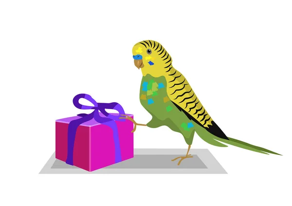 Budgie bird delivers a present, parrot with gift — Stock Illustration Budgie Bird Delivers Present Parrot Gift Stock Vector