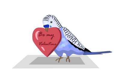 Budgie kuşunun kalbi var, sevgilim ol diyor.