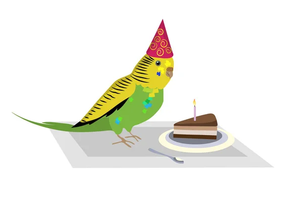 Pájaro Periquito Felicitaciones Con Cumpleaños Pájaro Pastel Con Vela — Vector de stock