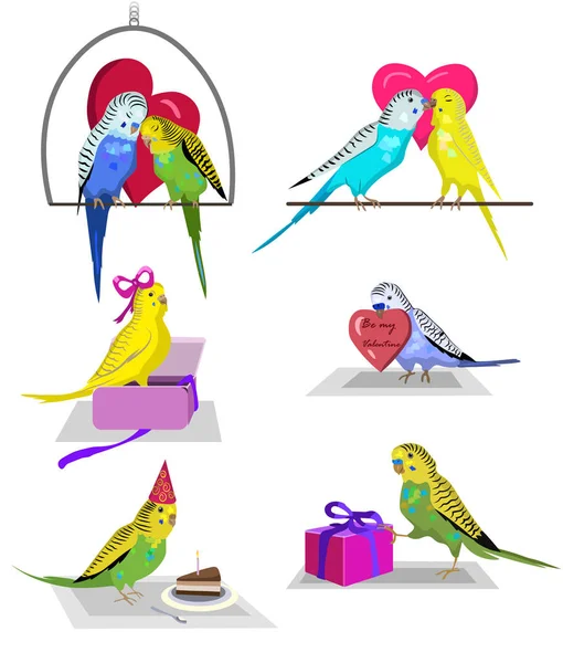 Set of colorful budgie birds. Festive birds, Birthday, Valentine's Day and Christmas. — Stock Illustration Set Colorful Budgie Birds Festive Birds Birthday Valentine Day Christmas Vector Graphics