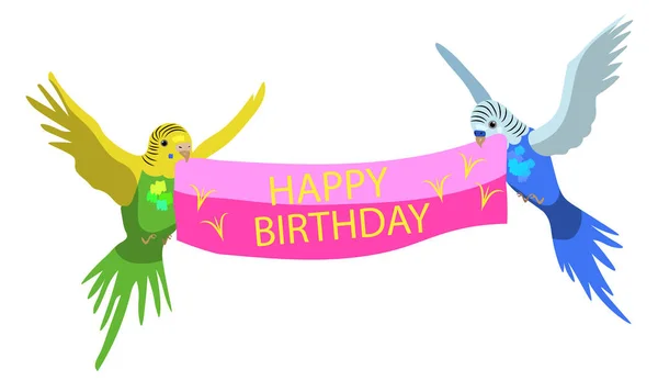 Pássaros Budgie Coloridos Celebração Aniversário — Vetor de Stock