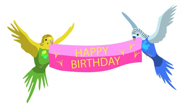 Colorful budgie birds, celebration of Birthday — Stock Illustration Colorful Budgie Birds Celebration Birthday Stock Illustration