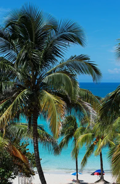 Plage blanche avec eau bleue à Cuba Varadero — Photo