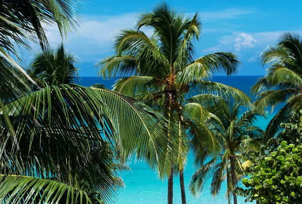 Playa blanca con agua azul en Cuba Varadero — Foto de Stock