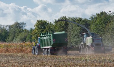 Almanya - Schleswig Holstein - 02 Ekim 2016: mısır hasat Mısır ürün tarım sektörü için