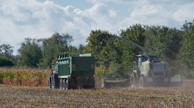 Almanya - Schleswig Holstein - 02 Ekim 2016: mısır hasat Mısır ürün tarım sektörü için