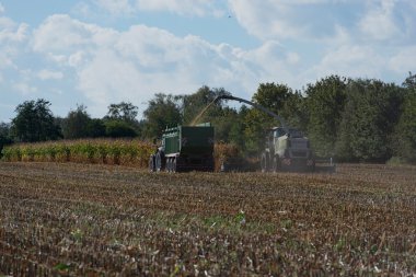 Almanya - Schleswig Holstein - 02 Ekim 2016: mısır hasat Mısır ürün tarım sektörü için