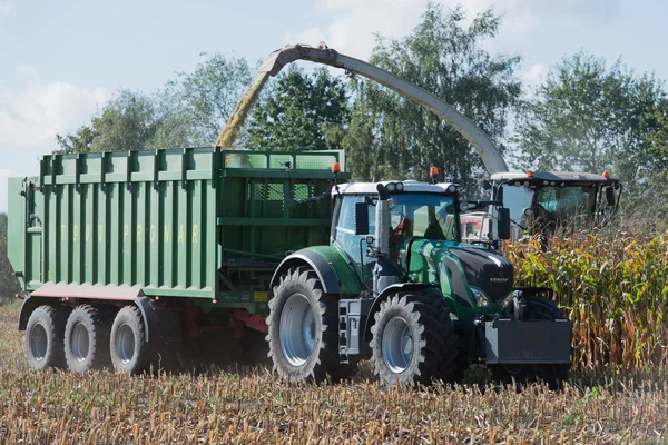 Duitsland - Sleeswijk Holstein - 02 oktober 2016: maïs harvester in het maïs gewas voor de agrarische sector — Stockfoto