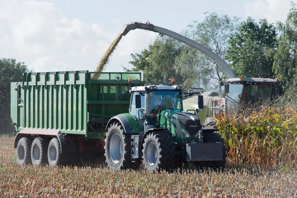 Jerman Schleswig Holstein - 02 Oktober 2016: Pemanen jagung di tanaman jagung untuk sektor pertanian — Stok Foto