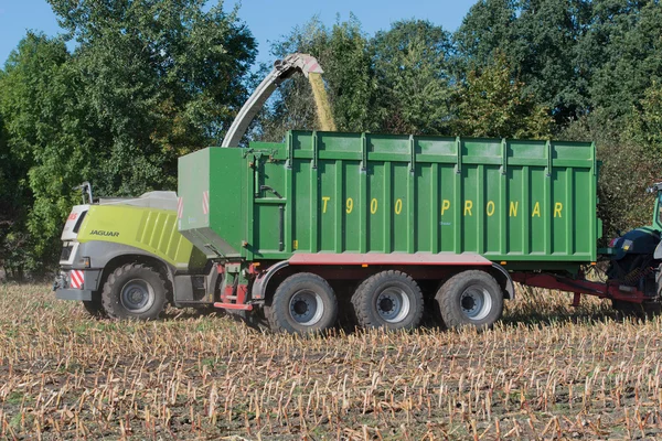 Jerman Schleswig Holstein - 02 Oktober 2016: Pemanen jagung di tanaman jagung untuk sektor pertanian — Stok Foto