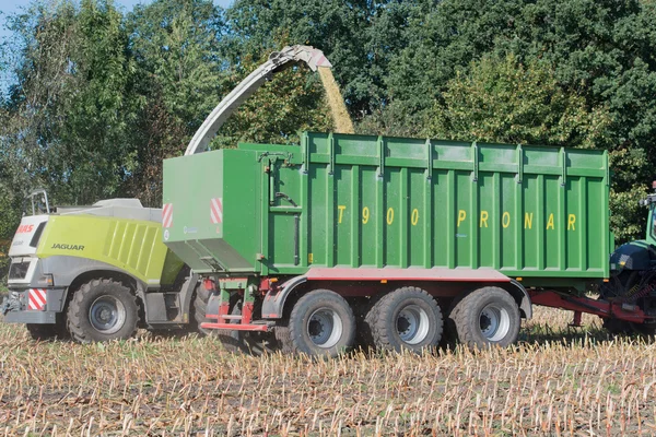 Jerman Schleswig Holstein - 02 Oktober 2016: Pemanen jagung di tanaman jagung untuk sektor pertanian — Stok Foto
