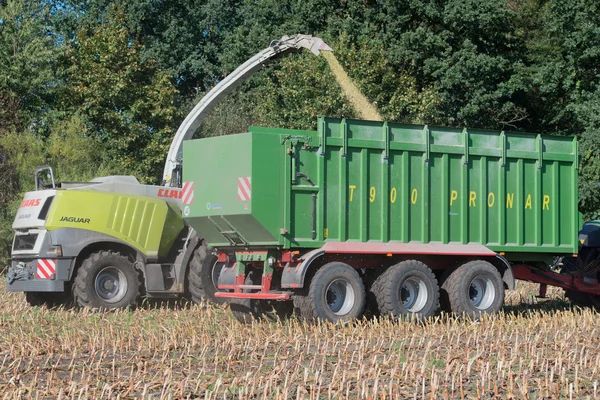 Alemanha - Schleswig Holstein - 02 de outubro de 2016: colheitadeira de milho na safra de milho para o setor agrícola — Fotografia de Stock