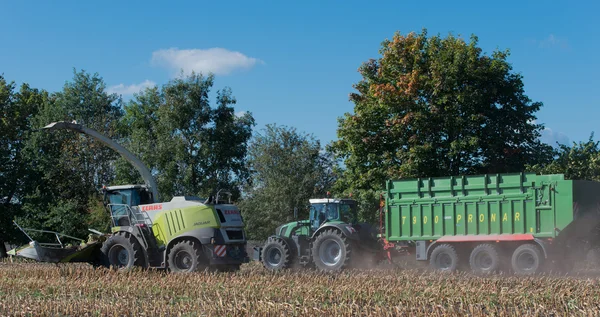 Γερμανία - Σλέσβιχ Χολστάιν - 02 Οκτωβρίου 2016: καλαμπόκι θεριζοαλωνιστική μηχανή στην καλλιέργεια καλαμποκιού για τον γεωργικό τομέα — Φωτογραφία Αρχείου