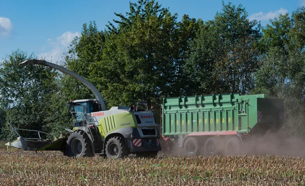 Německo - Schleswig Holstein - 02 října 2016: kukuřice kombajn v obilí plodin pro zemědělský sektor — Stock fotografie