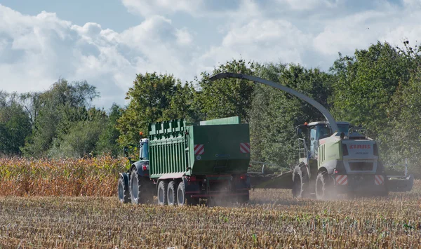 Alemanha - Schleswig Holstein - 02 de outubro de 2016: colheitadeira de milho na safra de milho para o setor agrícola — Fotografia de Stock