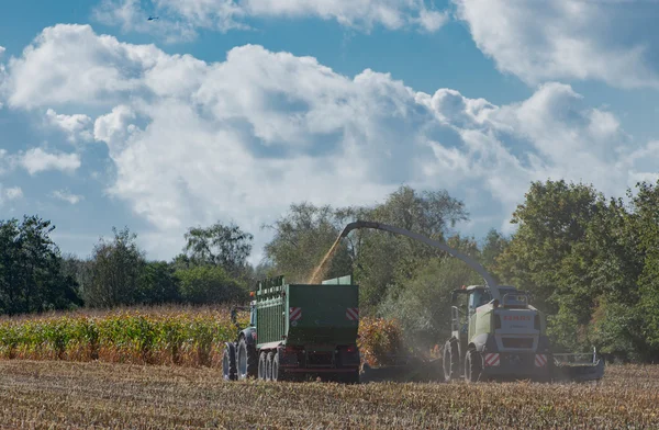 Германия - Шлезвиг-Гольштейн - 2 октября 2016 года: кукурузный комбайн для сельскохозяйственного сектора — стоковое фото