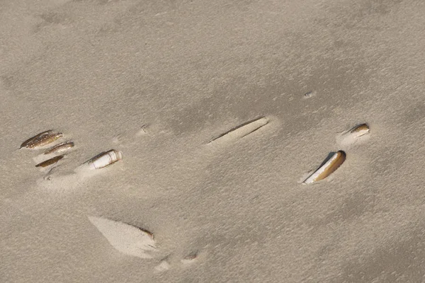 Lábnyom-ban barna homok a strandon — Stock Fotó