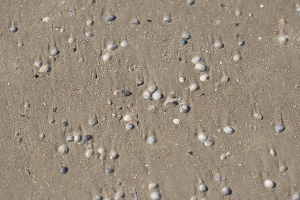 Pegada na areia marrom na praia — Fotografia de Stock