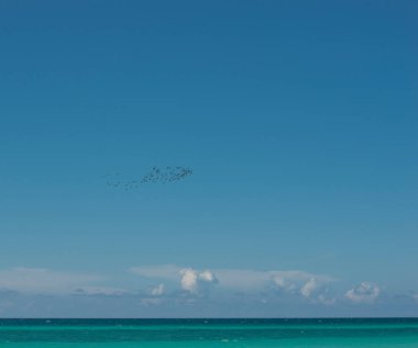 Küba kapalı turkuaz suları ile Atlantik sahil