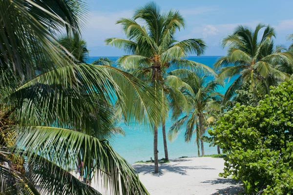 Costa atlántica con aguas turquesas frente a Cuba — Foto de Stock