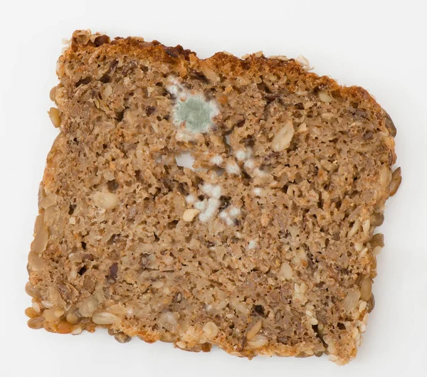 Molde azul em um pão de grão inteiro — Fotografia de Stock