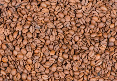 Coffee beans as background clipart