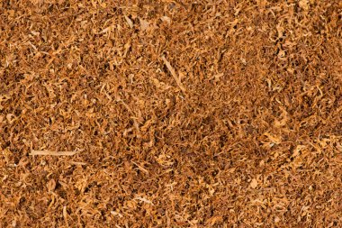 Bir arka plan ve fotoğraflandı doku olarak tütün