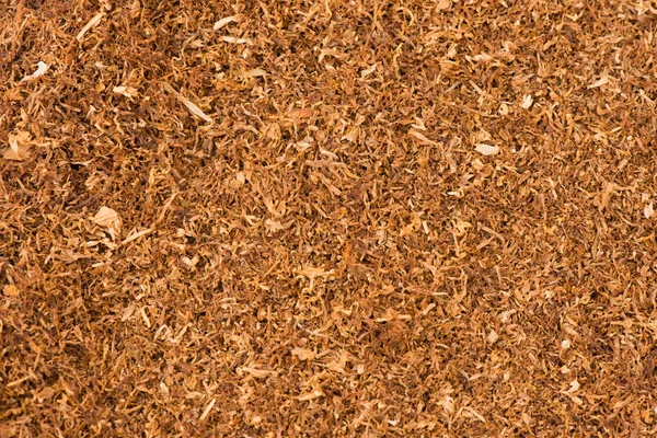 Tabaco como fundo e textura fotografada — Fotografia de Stock